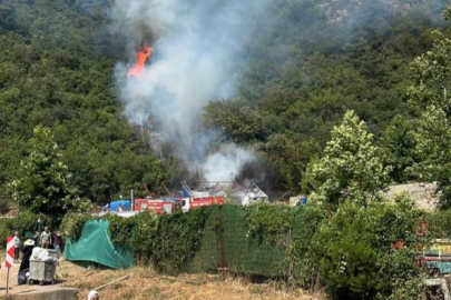 Bursa'da ormanlık alanda yangın