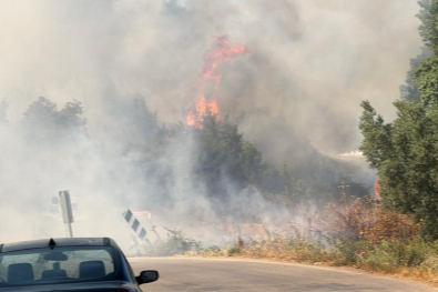İznik'te yangın paniği