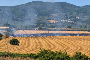 Gemlik Serbest Bölge yakınında korkutan yangın