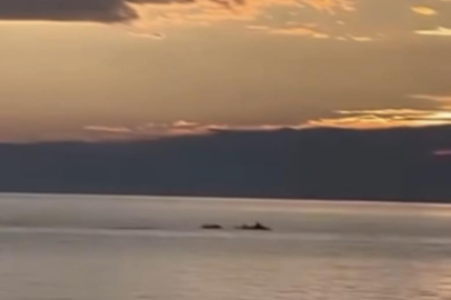 Bursa'da gün doğumunda yunus balıkları görsel şölen oluşturdu