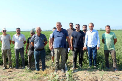 Manyas Gölü'nden gelen ilaçlı su sorununa çözüm bekleniyor