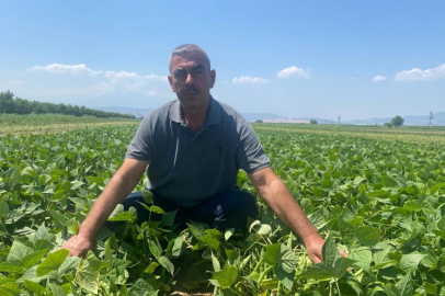 Bu köyde çiftçi sadece tarlasını hazırlıyor, gerisini kooperatif yapıyor