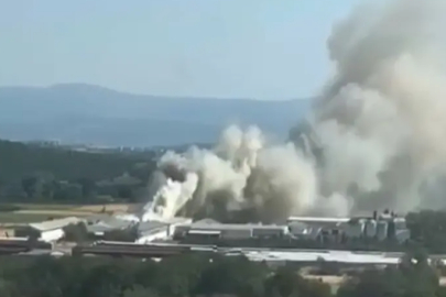 Bursa'da tavuk çiftliğinde yangın