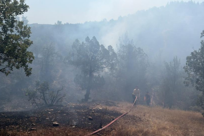 Bursa'da orman yangınına havadan ve karadan müdahale