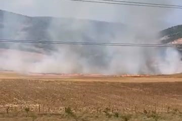 Bursa'da tarlalık alanı ateşe veren şüpheli yakalandı