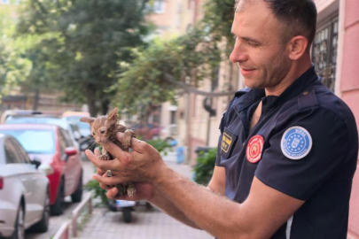 Yağmur suyu giderine sıkışan kediyi itfaiye kurtardı