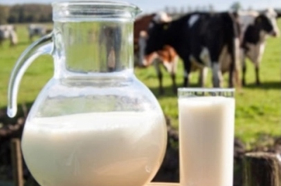 Ticari süt işletmelerince 995 bin 463 ton inek sütü toplandı