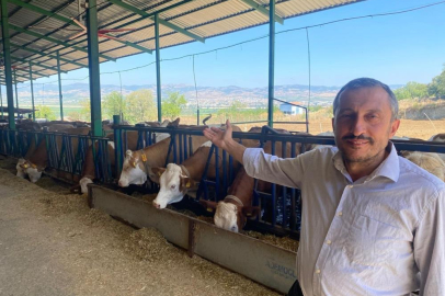 Kaliteli süt nasıl olmalı