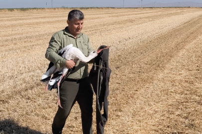Bursa'da elektrik akımına kapılan eşinin başından 5 gün ayrılmadı
