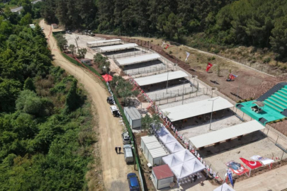 Bursa Hayvan Hakları'ndan Gemlik Belediyesi'ne: "Kapıları Açın!"