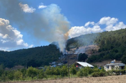 Kestel’de tarım arazisinde başlayan yangın ormana sıçradı