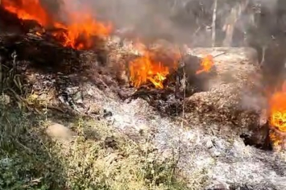 Bursa'da facia vatandaşlar tarafından önlendi: O anlar kamerada