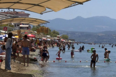 Bursa sahillerinden sevindiren haber