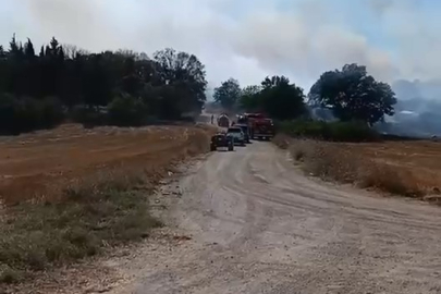 Bursa'da arazide çıkan yangın, ekiplerin hızlı müdahalesiyle söndürüldü