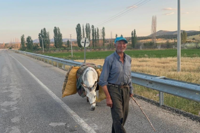 İki dönüm fasulyenin arkasındaki güç: 74 yaşındaki çiftçi ve bir eşek