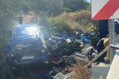 Bursa'da virajı alamayan kamyon can aldı: 1 ölü, 1 yaralı