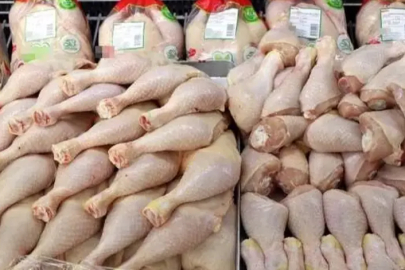 Tavuk eti üretiminde temmuz ayı verileri açıklandı