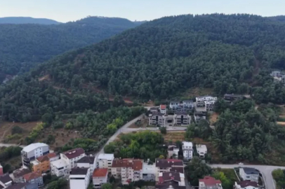 Bursa'da muhtardan mahalle sakinlerine 'Ayı' uyarısı