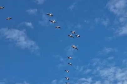 Bursa semalarında görsel şölen