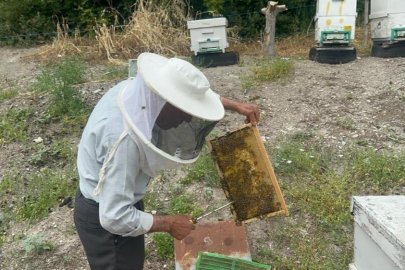 50 yıllık arıcı emekli başgardiyan 20 yıldır Avrupa'ya bal gönderiyor