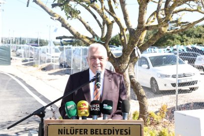 Nilüfer'de sahipsiz hayvanlar için "Umut Ağacı" açıldı