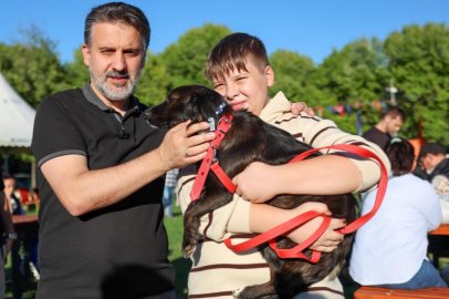 Büyükşehir'den can dostları için yuva seferberliği