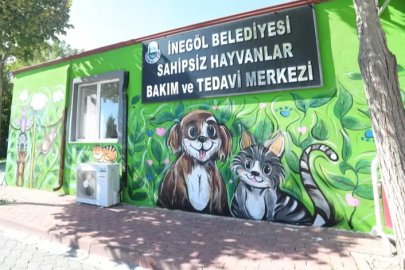 İnegöl’de en renkli hayvanlar günü etkinliği