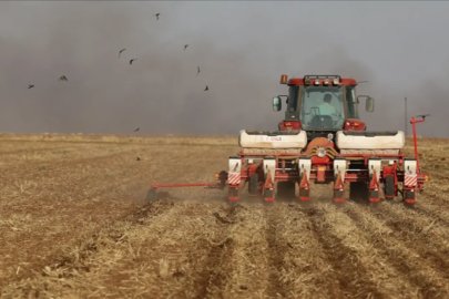 Tarım-GFE yıllık yüzde 30,28 arttı