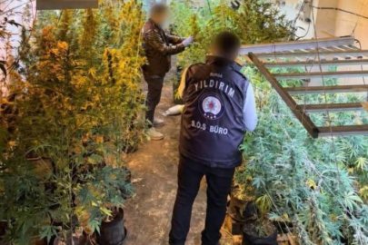 Bursa'da kenevir serasına dönen kasap dükkanına baskın