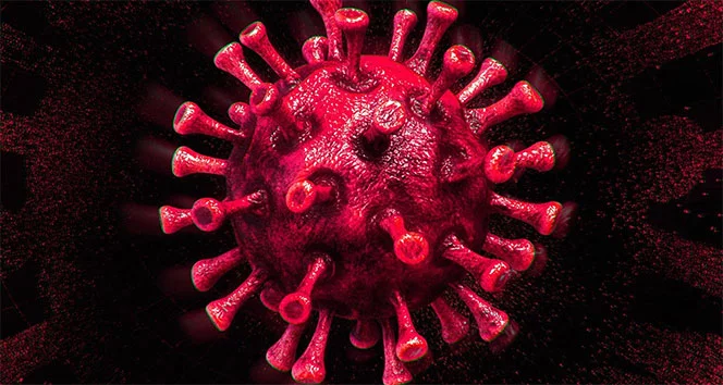 Türkiye’de son 24 saatte 8.636 koronavirüs vakası tespit edildi