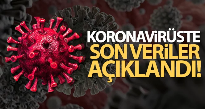 Türkiye’de son 24 saatte 7.241 koronavirüs vakası tespit edildi