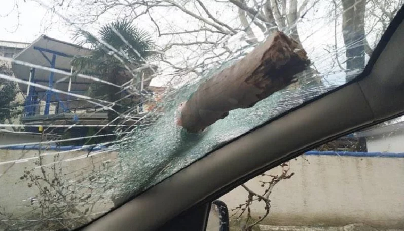 Bursa’da lodostan devrilen ağaç otomobilin camına ok gibi saplandı