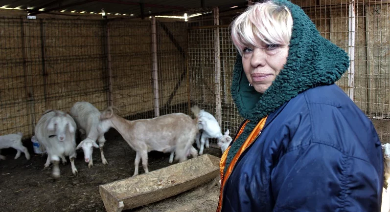 Beslediği keçilerin ne etinden ne de sütünden faydalanıyor