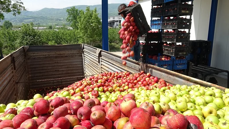 Bursa’da tonlarca meyve soğuk hava depolarında kaldı