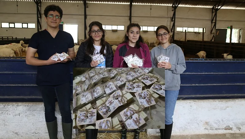 Öğrenciler keçi sütünden sabun üretiyor