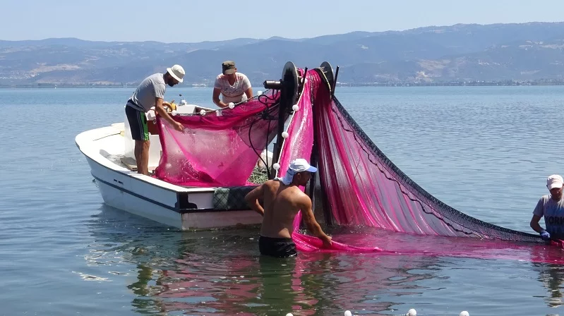 İznik gölünde gümüş balığı popülasyonu balıkçıları tedirgin ediyor
