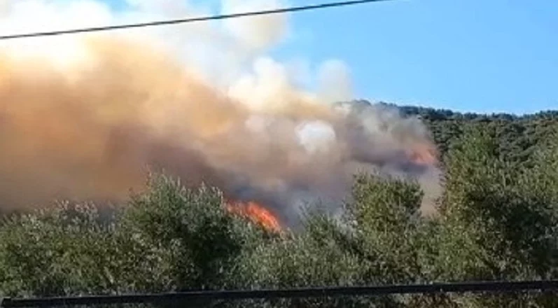 Bursa’da ikinci orman yangını