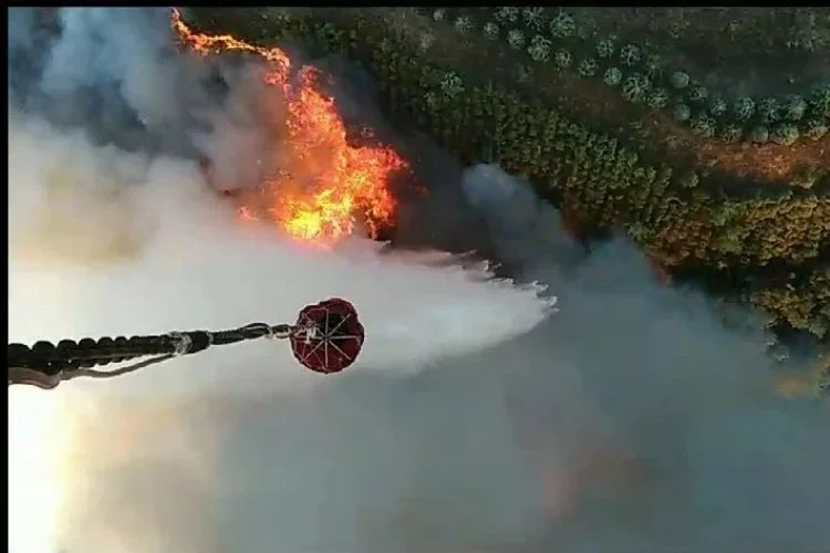 Bursa’daki orman yangınına havadan böyle müdahale edildi