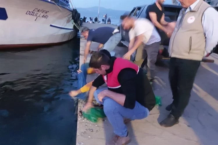 Kaçak avlanan bin kilo kum şırlanı denize bırakıldı