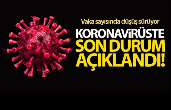 Türkiye’de son 24 saatte 8.102 koronavirüs vakası tespit edildi