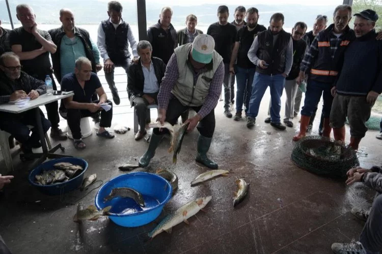Tarihi Gölyazı'da 100 yıllık balık mezadı