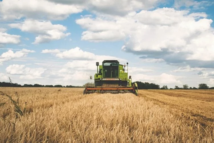 Tarım-GFE yıllık yüzde 49,92 arttı